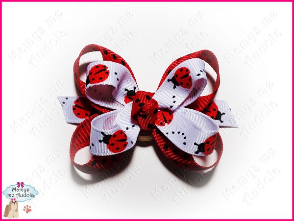Litle Bow Joaninhas