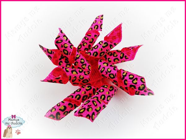Laço Korker - Animal Print 3