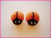 Joaninhas Laranja/Preto